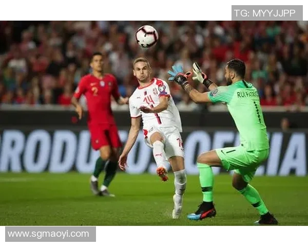 西安足球队在欧锦赛中的战术分析与表现评估