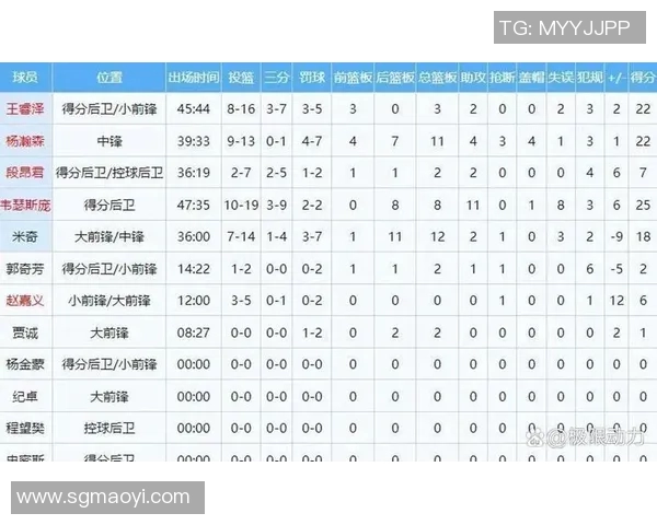麦迪青岛对阵辽宁的精彩对决回顾与赛后分析